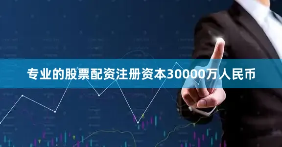 专业的股票配资注册资本30000万人民币