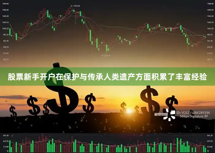 股票新手开户在保护与传承人类遗产方面积累了丰富经验