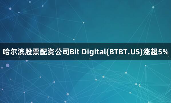 哈尔滨股票配资公司Bit Digital(BTBT.US)涨超5%